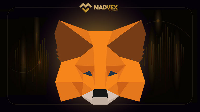 madvex-How-to-Use-MetaMask