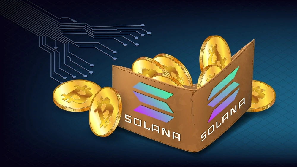 Solana blockchain explorer