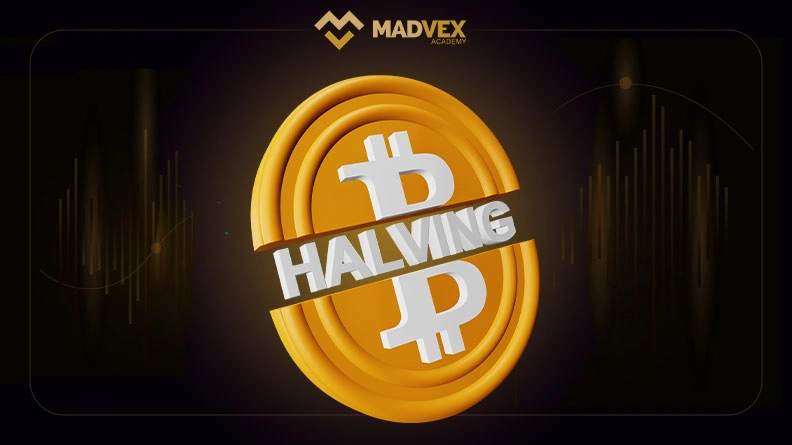 halving bitcoin